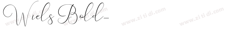Wiels Bold字体转换
